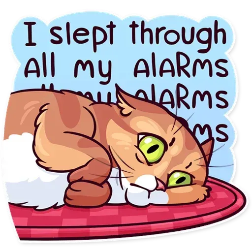Meme Cats Stickers2- Sticker