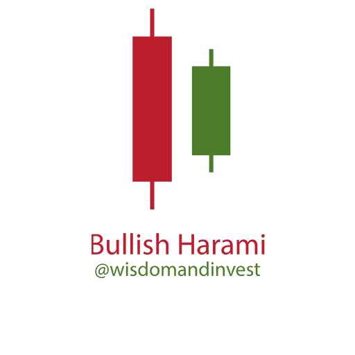 Wisdom n Invest - Sticker