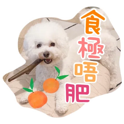 Kira Chan CNY 小新粒子賀年貼紙 - Sticker 4