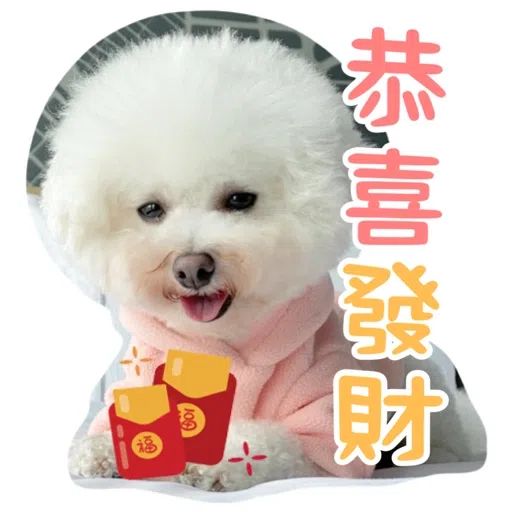 Kira Chan CNY 小新粒子賀年貼紙- Sticker