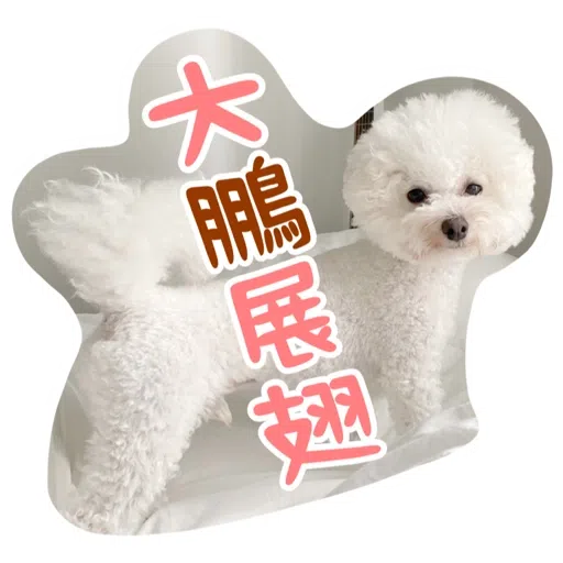 Kira Chan CNY 小新粒子賀年貼紙 - Sticker