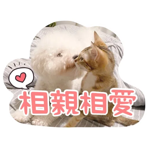 Kira Chan CNY 小新粒子賀年貼紙 - Sticker 5