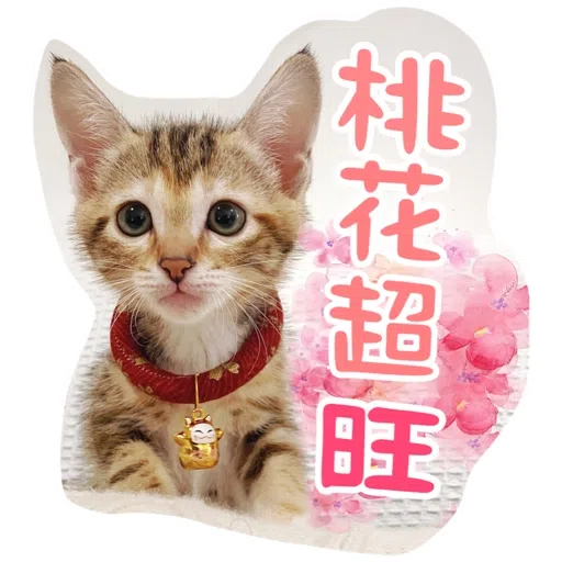 Kira Chan CNY 小新粒子賀年貼紙 - Sticker 7